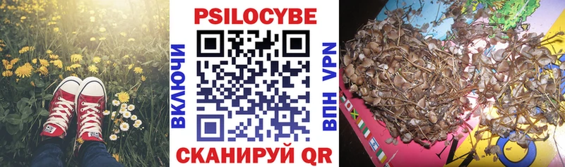 Псилоцибиновые грибы прущие грибы  Купить закладки  Сосногорск 